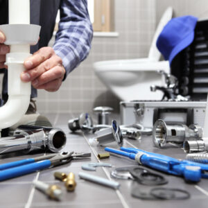 Profissional